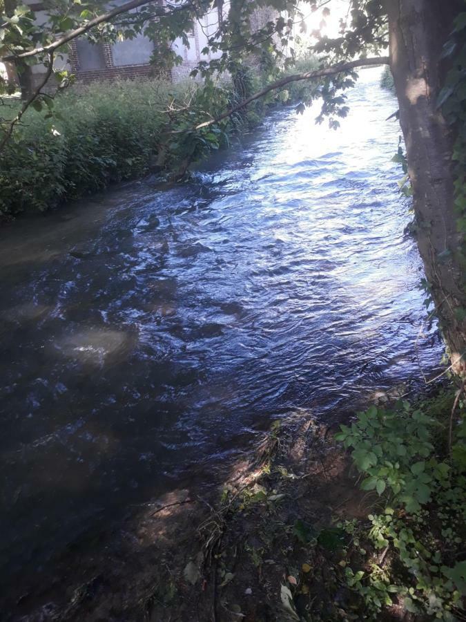 Gite Au Bord Du Lac Montville ภายนอก รูปภาพ